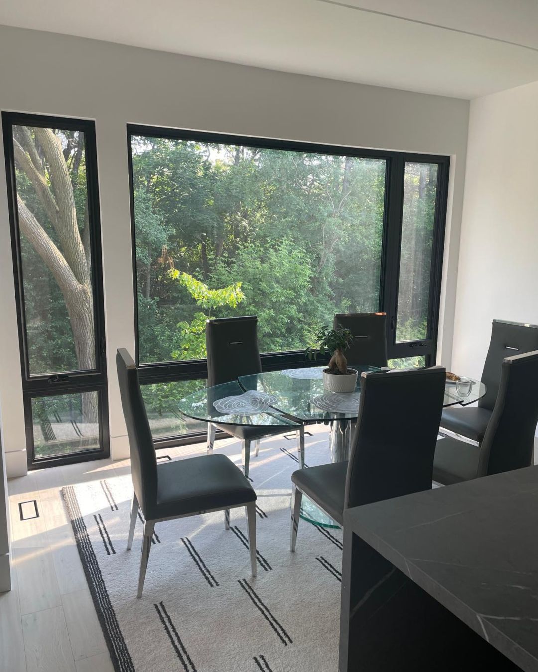Large black frame picture windows in a modern Toronto dining room with a scenic forest view